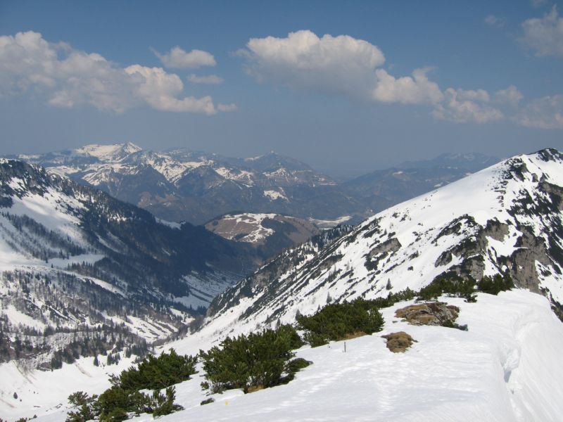 2009-04-13 Stripsenkopf (36)